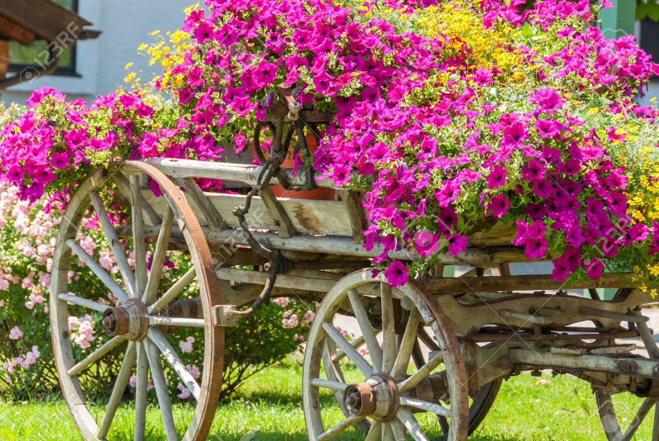 年間花 Iii で飾られたビンテージ ワゴン の写真素材 画像素材 Image