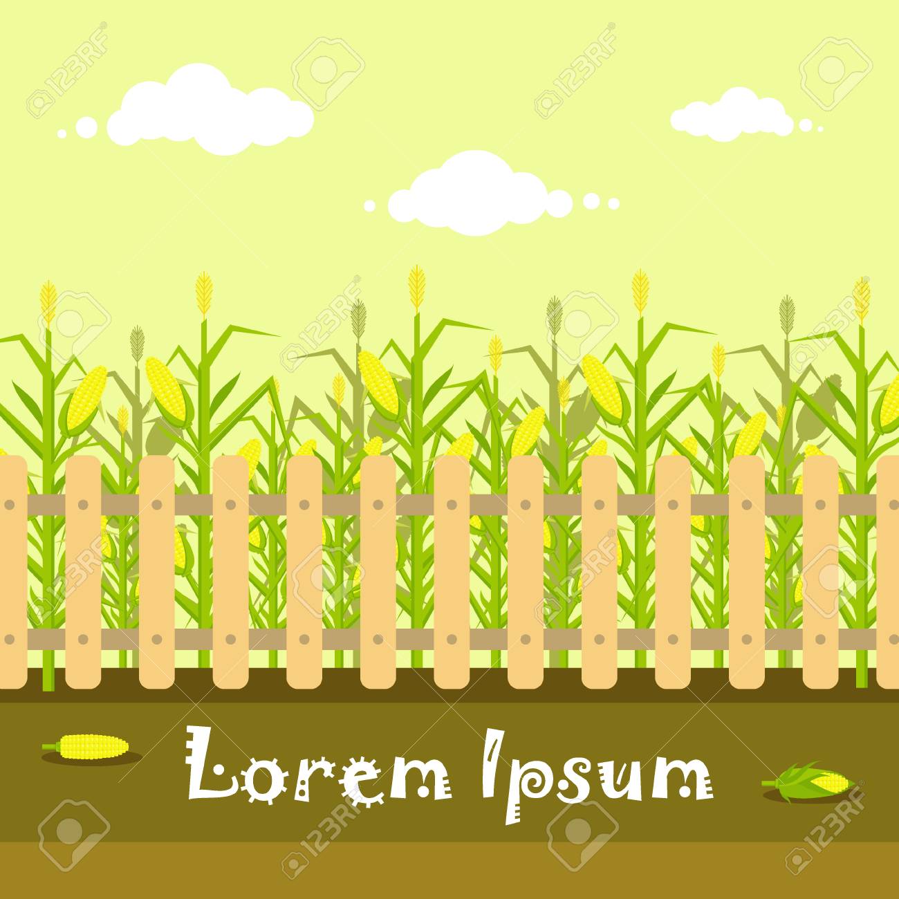 フラット スタイルのフェンスとベクター黄色いトウモロコシ畑 熟したトウモロコシ野菜 トウモロコシの穂軸 農業収穫のデザイン要素 ファーム風景のイラスト素材 ベクタ Image 2604