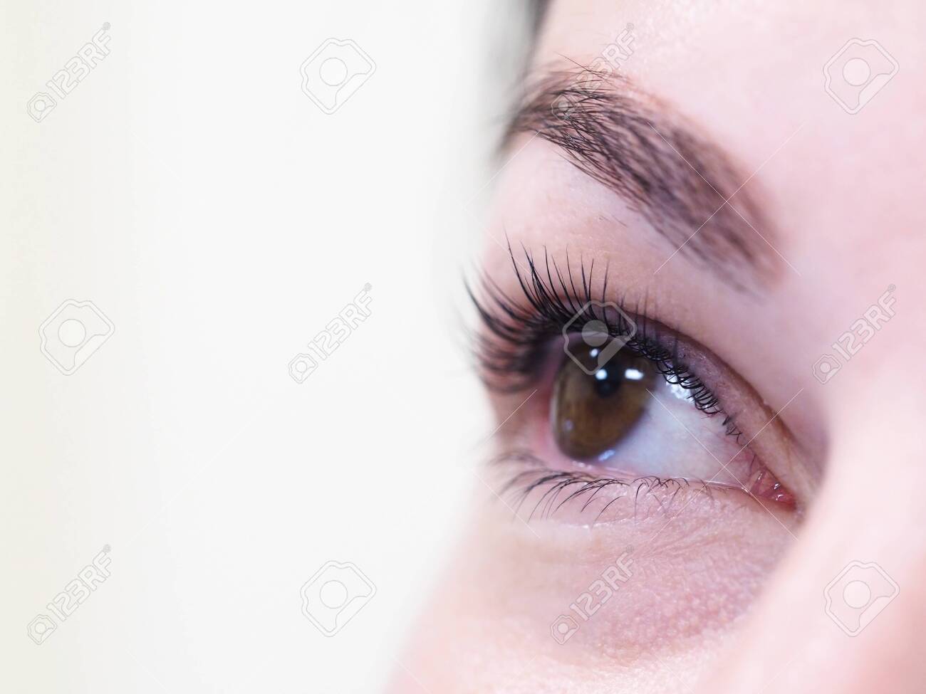Cosmetic procedure for the care of eyelashes. The result of dyeing, waving and laminating eyelashes. - 129223693 Cosmetic procedure for the care of eyelashes. The result of dyeing, waving and laminating eyelashes. - 129223693