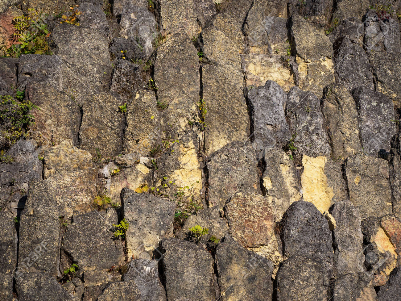 etiam-dictum-ipsum-a-felis