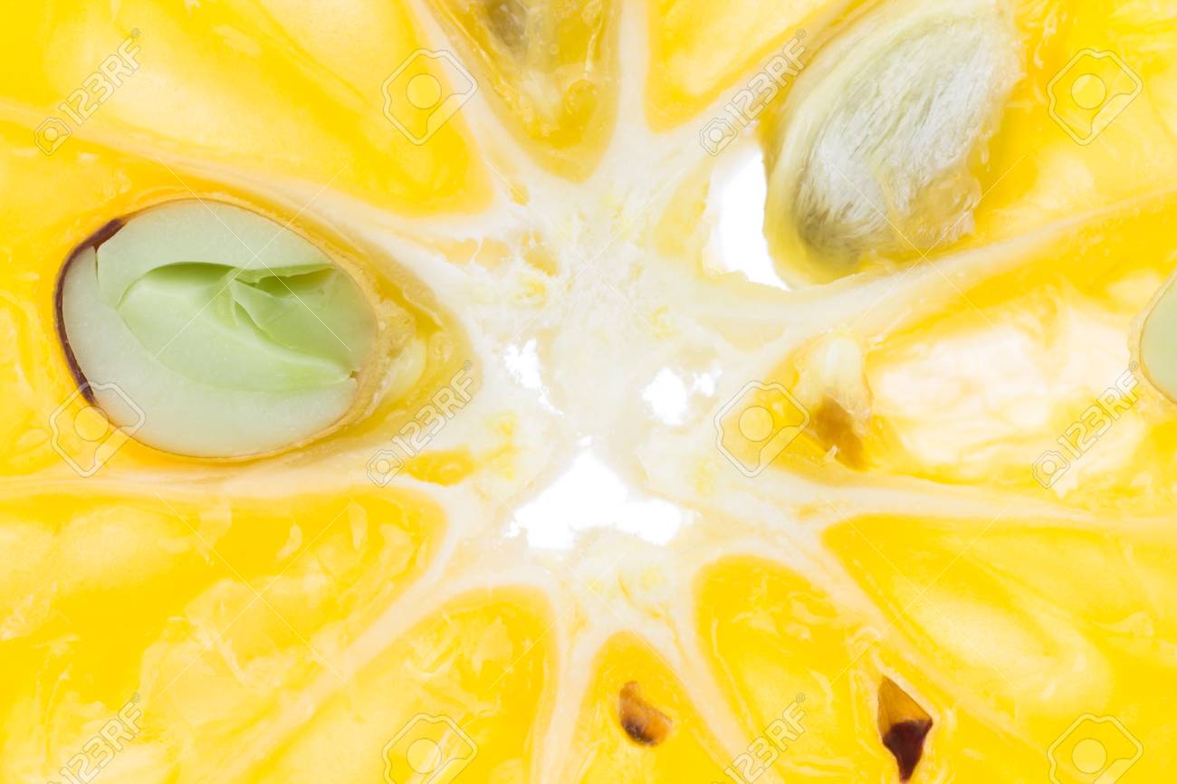 中央のみかんオレンジのスライスと白い背景に種 マクロスタイルのタンジェリンオレンジスライスと種子の背景 黄色のオレンジスライスフルーツ孤立した背景 の写真素材 画像素材 Image