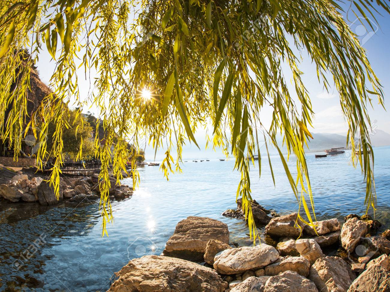 etiam-dictum-ipsum-a-felis