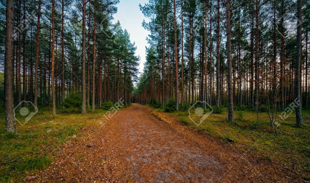 trail for recreation during