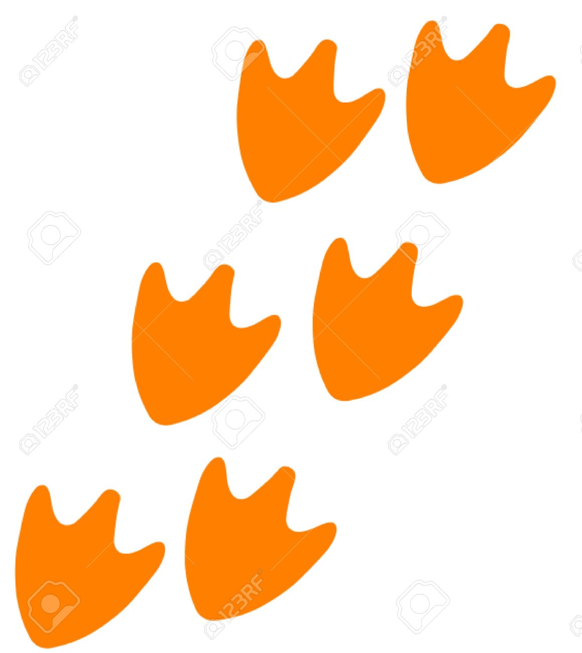 track of duck feet royalty free cliparts vectors and stock