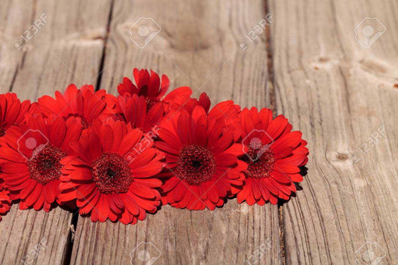 red gerbera daisies clustered on a rustic wood picnic table