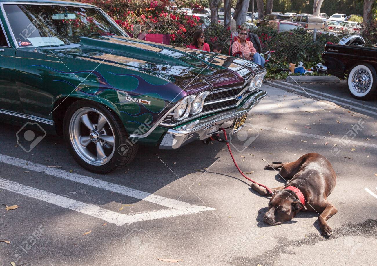 Chevy Chevelle 2016 >> Laguna Beach Ca Usa October 2 2016 Green And Blue 1969 Chevy Chevy Chevelle 2016 >> Laguna Beach Ca Usa October 2 2016 Green And Blue 1969 Chevy