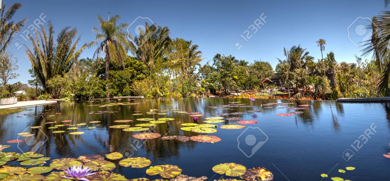 Naples, Florida, USA – March 4, 2018: Reflective pond with water lilies and plants at the Naples Botanical Gardens in Naples, Florida. Editorial use. - 105013687 Naples, Florida, USA – March 4, 2018: Reflective pond with water lilies and plants at the Naples Botanical Gardens in Naples, Florida. Editorial use. - 105013687