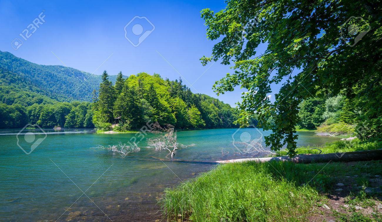 山湖、その湖畔の森の夏の風景。モンテネグロ、ビオグラツカ山国立公園