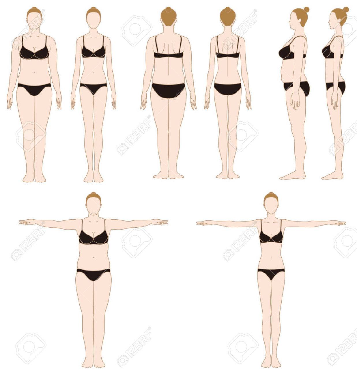 ダイエット スリムな女性 脂肪の女性のイラスト素材 ベクタ Image