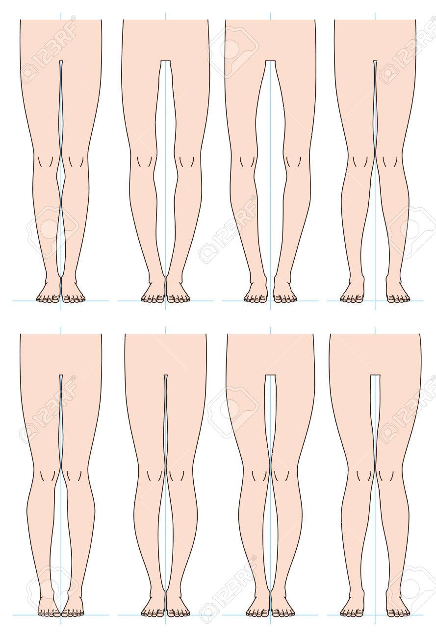 Женские ноги вид спереди. Идеальные ноги девушки. Четырехглавая мышца бедра анатомия. Как называется у девушек между ног. Фигура с галифе на бедрах.