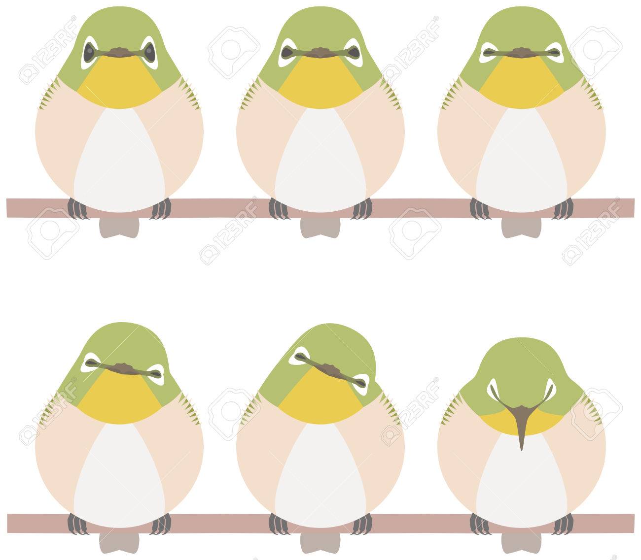 メジロ 鳥 のイラスト素材 ベクタ Image