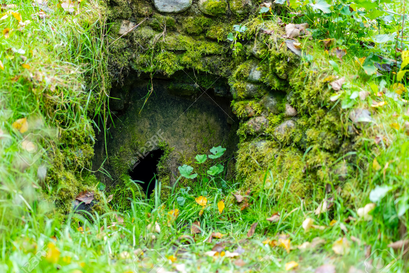 etiam-dictum-ipsum-a-felis