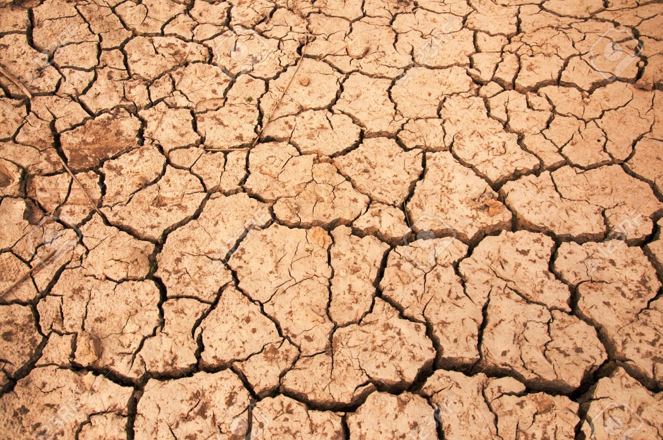 dry land texture background image stock photo picture and royalty