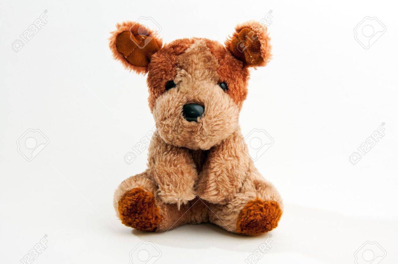 cute little teddy bear