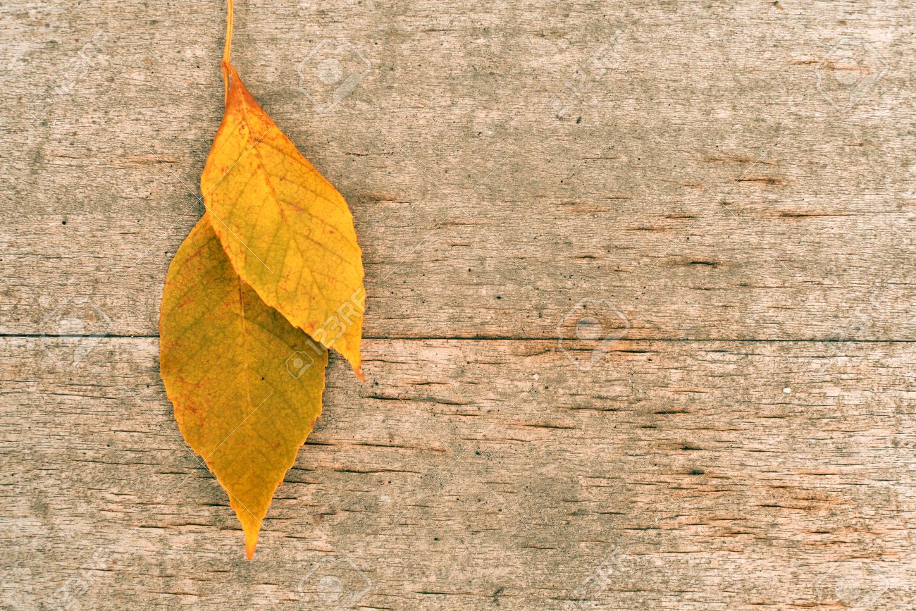 dry autumn leaf on a vintage wooden background fall background
