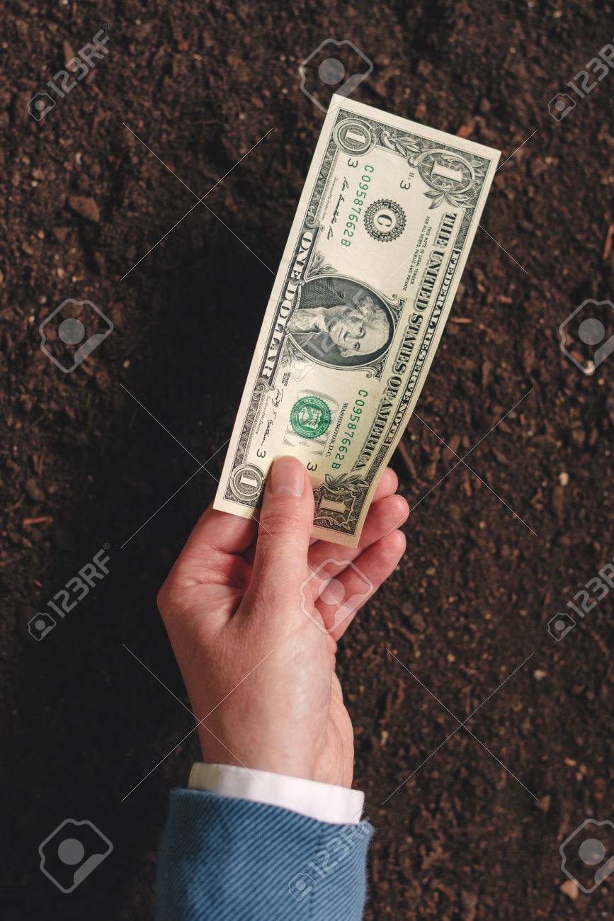 Will a payday loan hurt my credit image 6