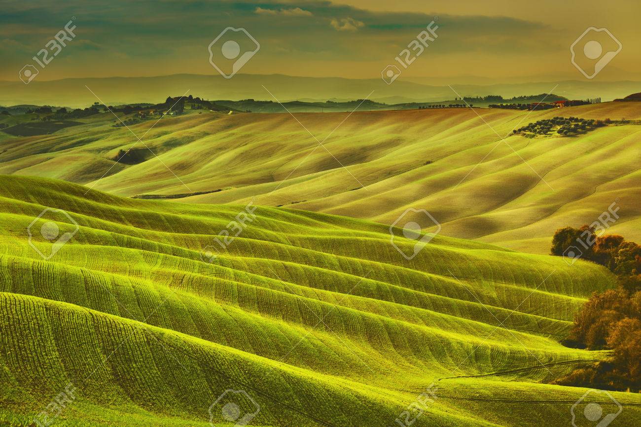 Tuscany spring, rolling hills on misty sunset. Rural landscape. Green fields and farmlands. Italy, Europe - 50207141 Tuscany spring, rolling hills on misty sunset. Rural landscape. Green fields and farmlands. Italy, Europe - 50207141
