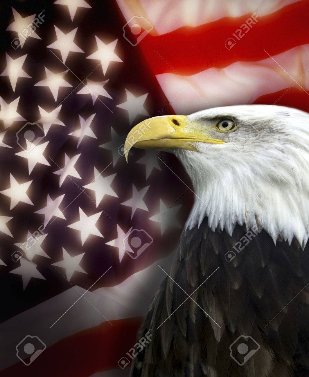 Patriotic symbols of the United States of America - 24528432 Patriotic symbols of the United States of America - 24528432