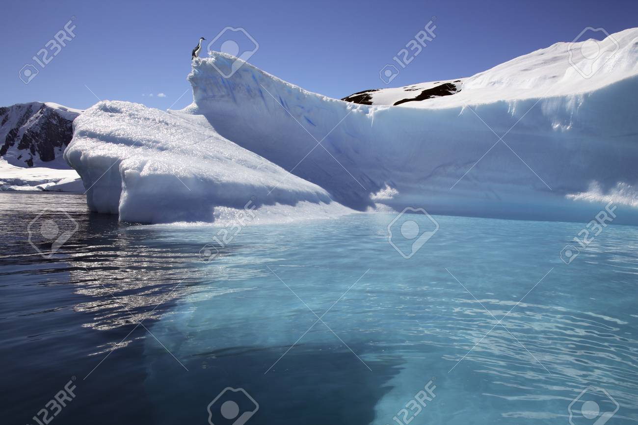 Icebergs In Paradise Bay On The Antarctic Peninsula In Antarctica Stock Photo Picture And Royalty Free Image Image