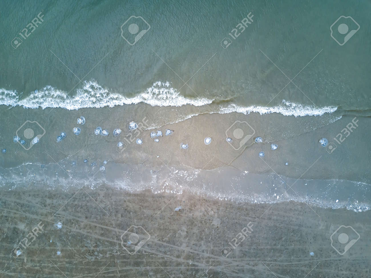 etiam-dictum-ipsum-a-felis