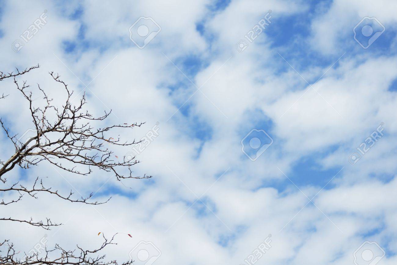 Partly Cloudy Sky Partly Cloudy Sky