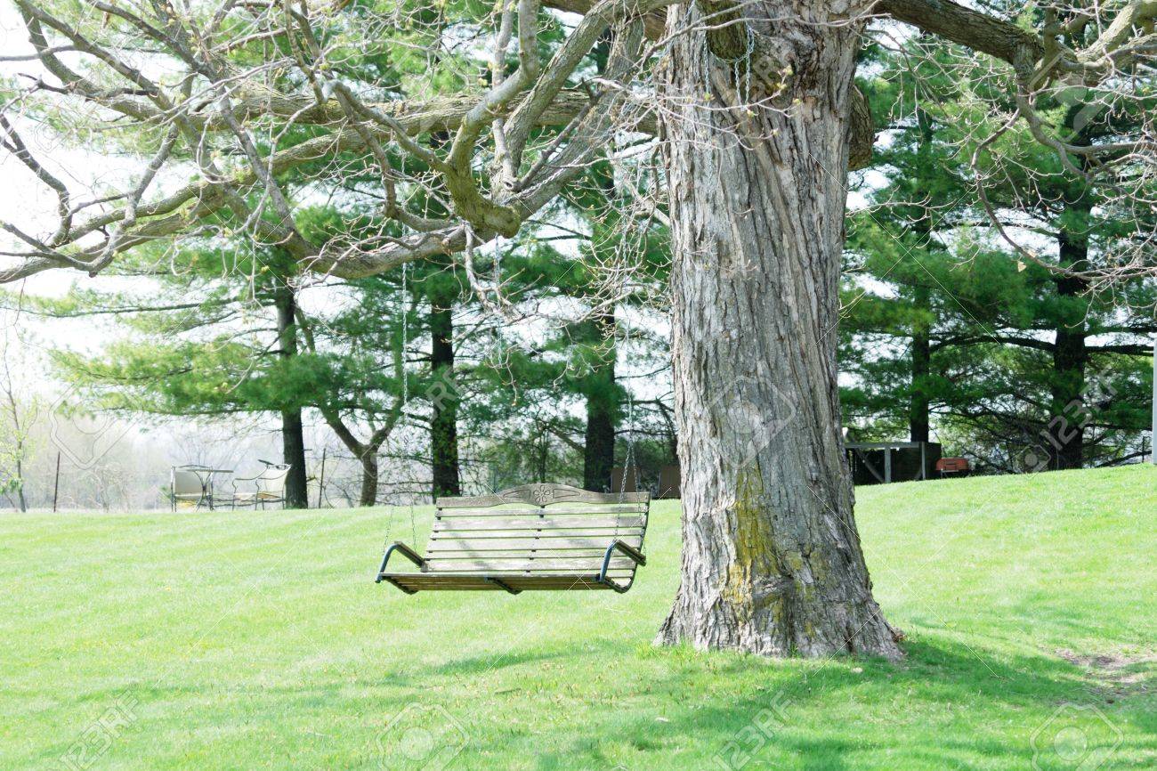 porch swing on tree