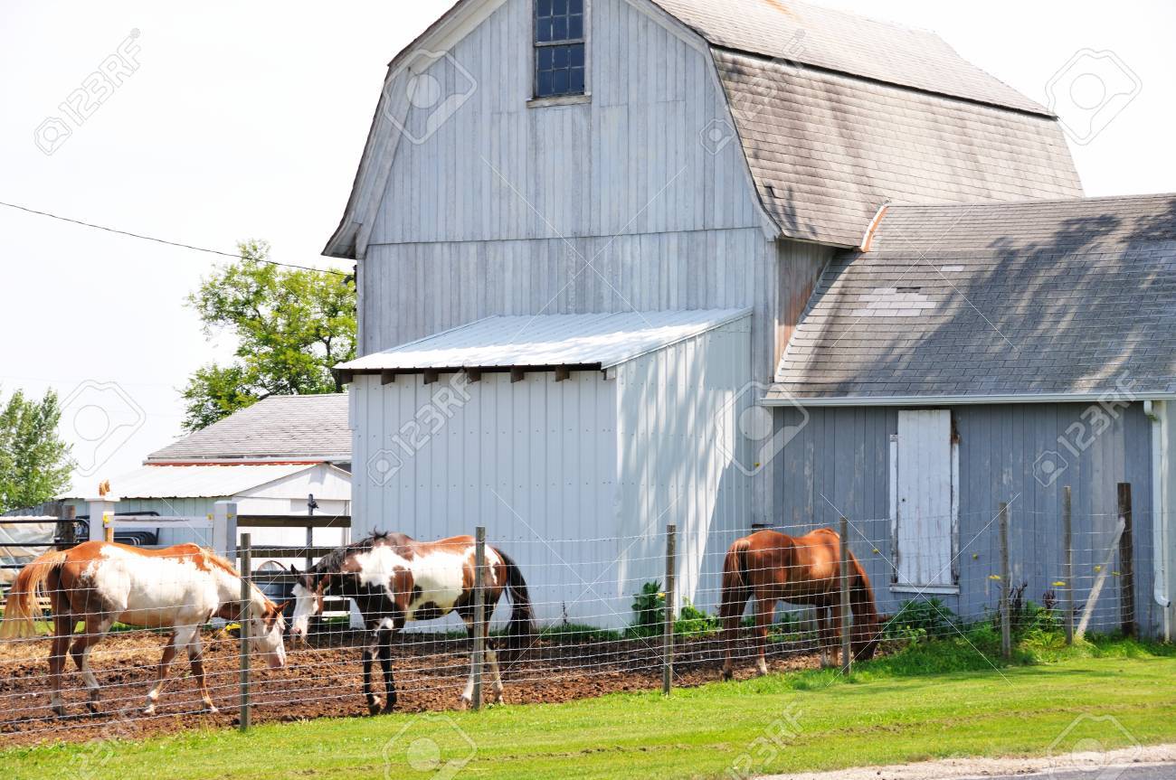 Red and white barn during golden hour photo – Free Sunrise Image on Unsplash, image size:1300x863