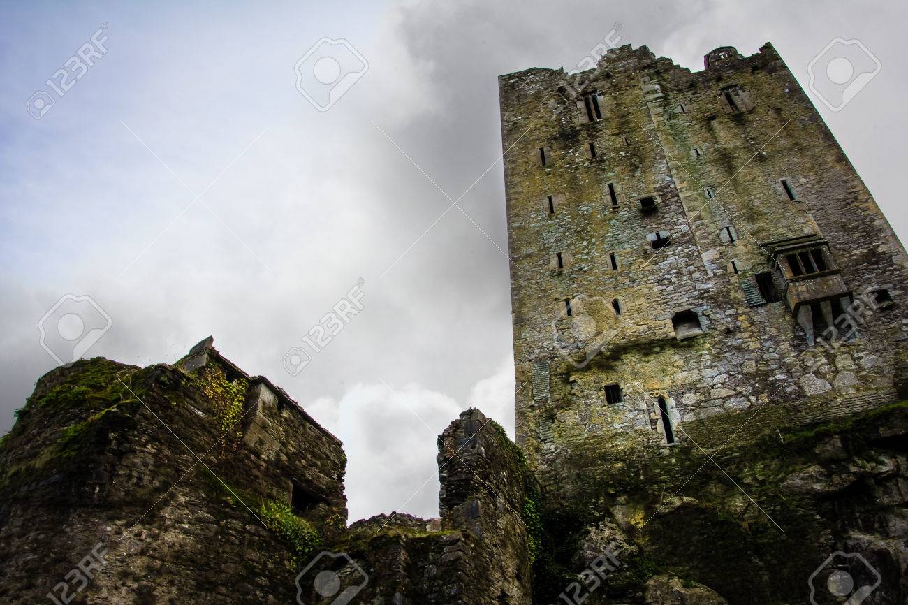 etiam-dictum-ipsum-a-felis