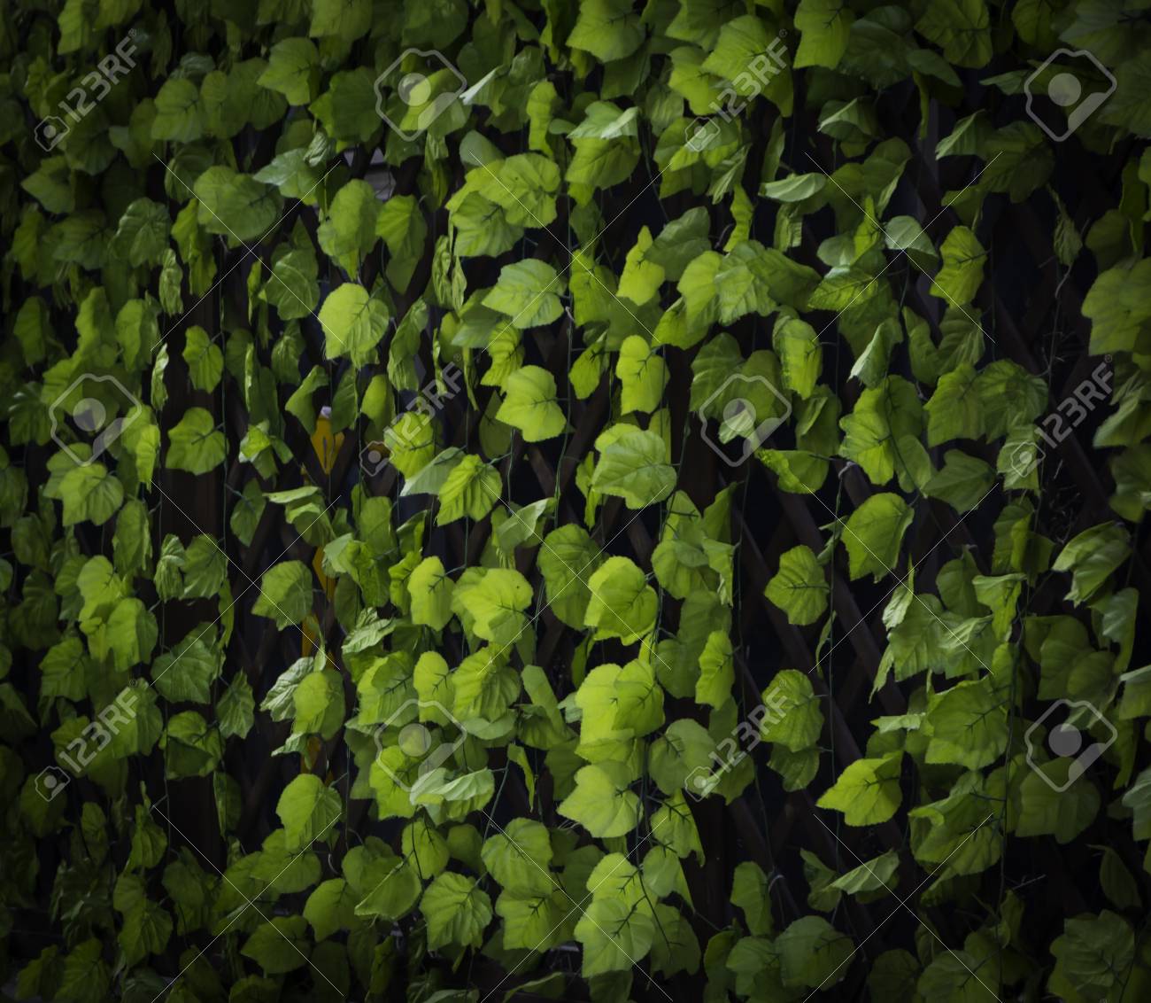 etiam-dictum-ipsum-a-felis