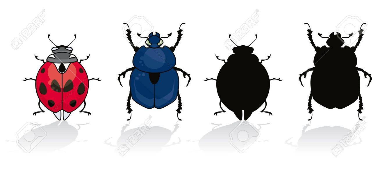 てんとう虫と彼のシルエットを白で隔離されるカブトムシのイラスト素材 ベクタ Image