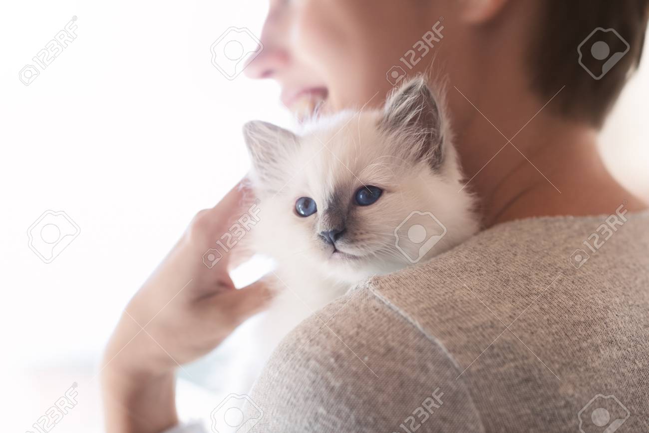 Young smiling woman hugging and cuddling her cute newborn kitten, pets and lifestyle concept - 91831665 Young smiling woman hugging and cuddling her cute newborn kitten, pets and lifestyle concept - 91831665