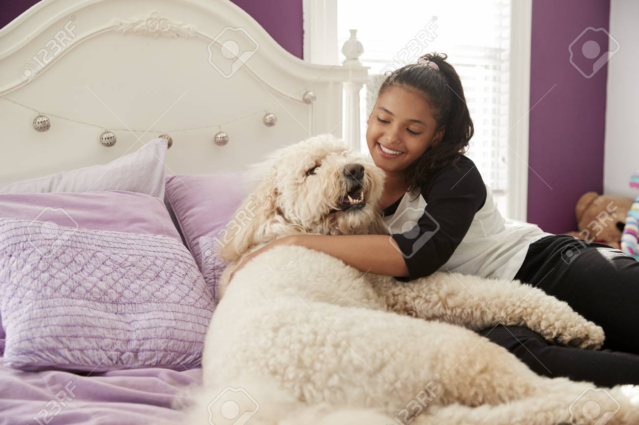 彼女のベッドの上にペットの犬を抱きしめる若い十代の女の子 の写真素材 画像素材 Image 彼女のベッドの上にペットの犬を抱きしめる若い十代の女の子 の写真素材 画像素材 Image