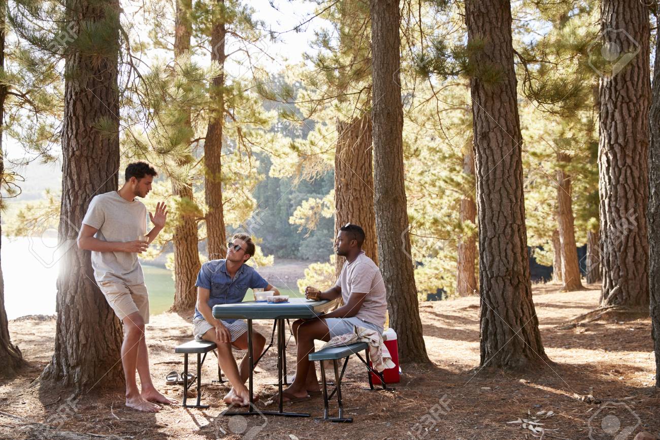 Three Male Friends Hanging Out Talking By A Lake Stock Photo, Picture and  Royalty Free Image. Image 97564229., image size:1300x866