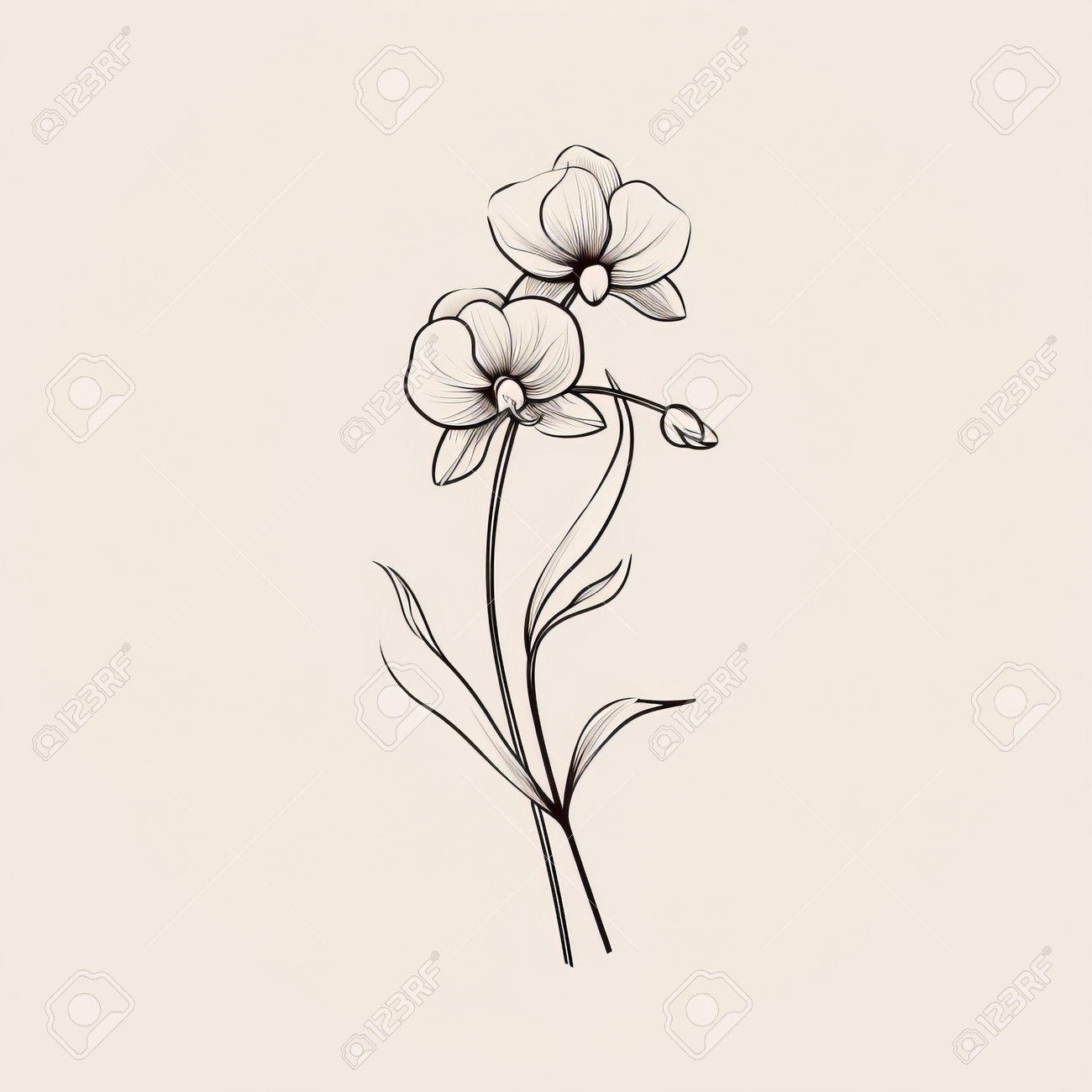 Black and White Orchid Tattoo Meaning