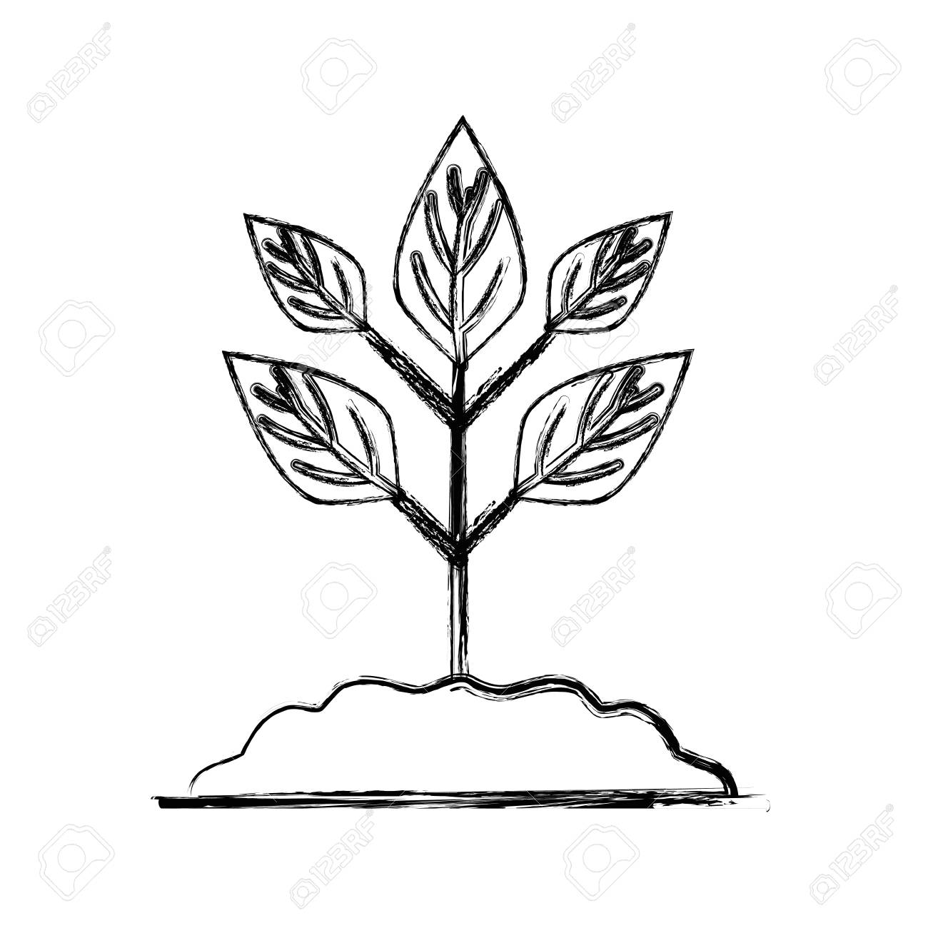 Featured image of post Caring For Plants Clipart Black And White
