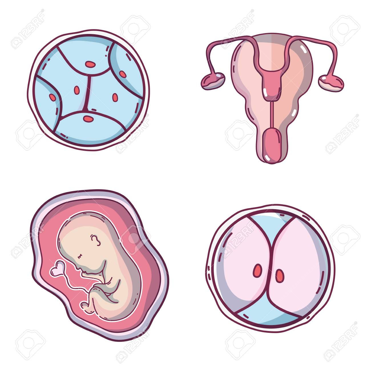 へその緒と赤ちゃんのイラスト素材 ベクタ Image