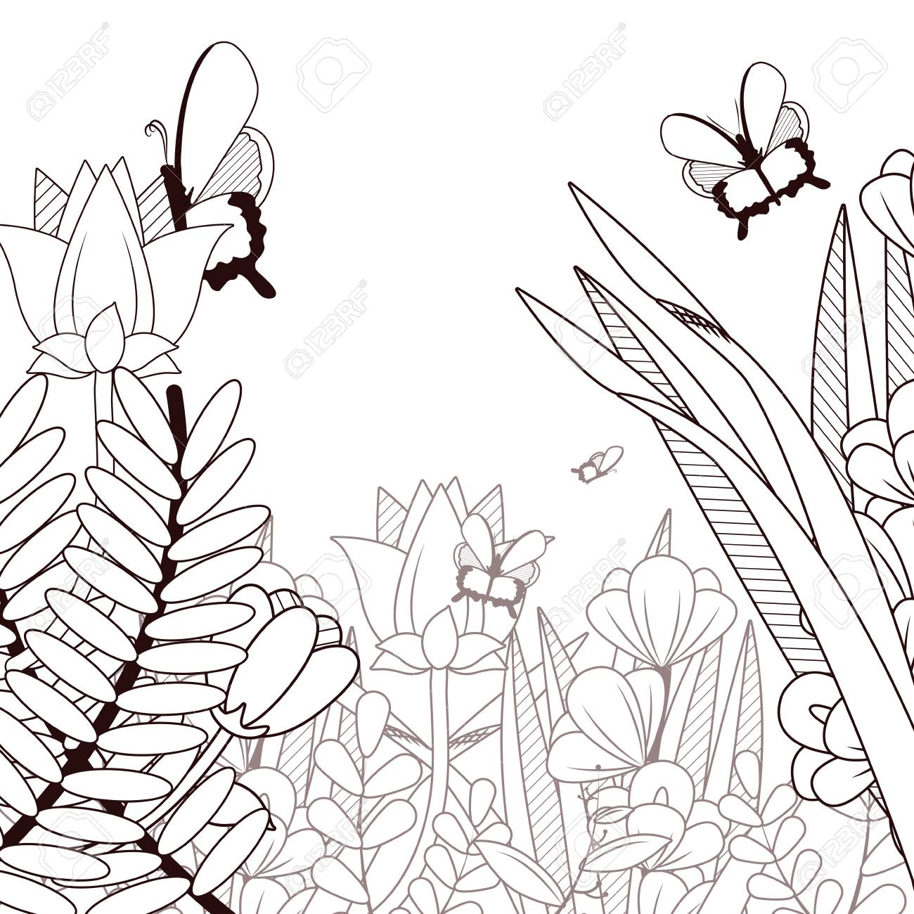 Beautiful Butterflies Flying On Nature Drawing Black And White Design Vector Illustration Graphic Design Royalty Free Cliparts Vectors And Stock Illustration Image Beautiful Butterflies Flying On Nature Drawing Black And White Design Vector Illustration Graphic Design Royalty Free Cliparts Vectors And Stock Illustration Image