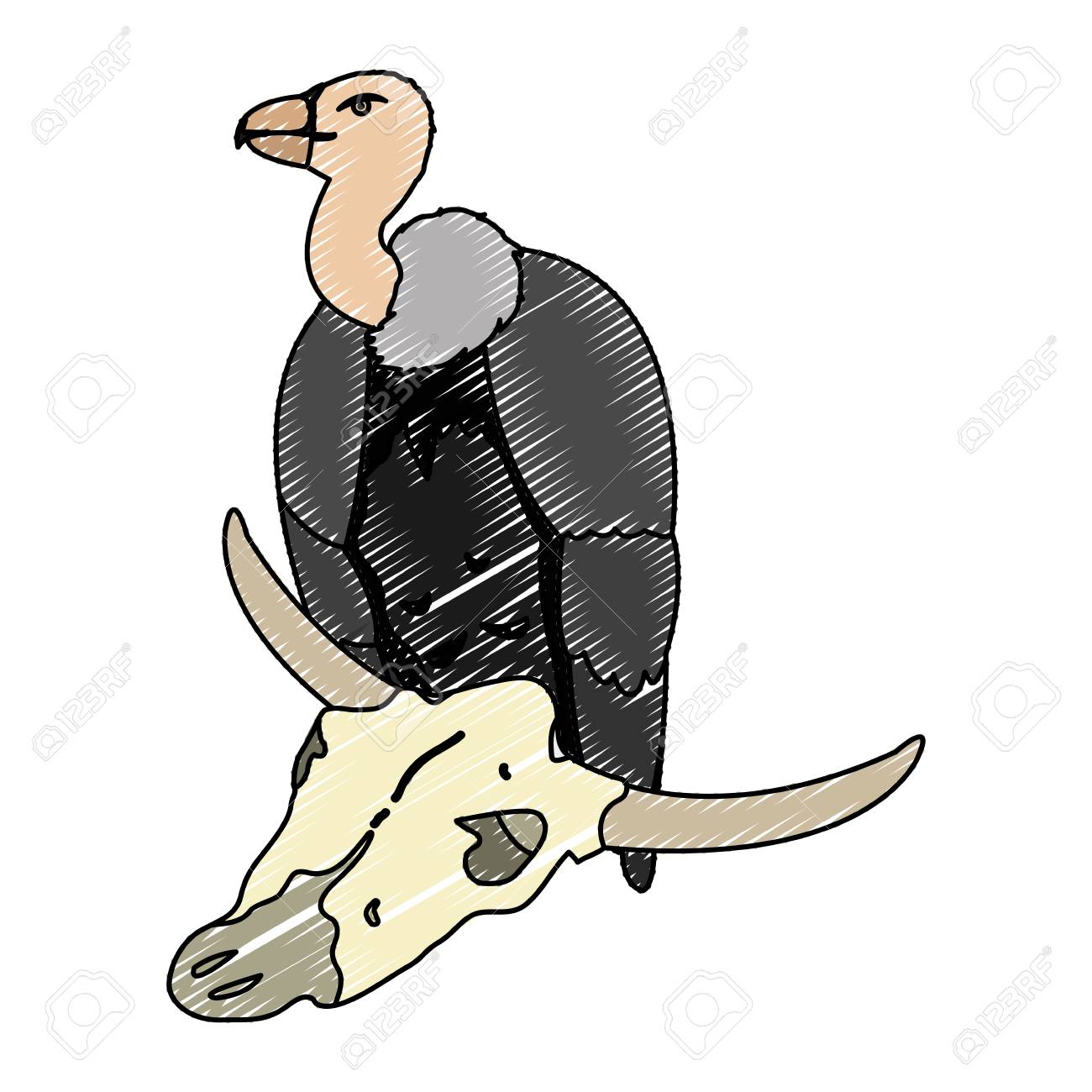 水牛の頭蓋骨のベクトルイラストと落書き野生のハゲワシの動物のイラスト素材 ベクタ Image 水牛の頭蓋骨のベクトルイラストと落書き野生のハゲワシの動物のイラスト素材 ベクタ Image