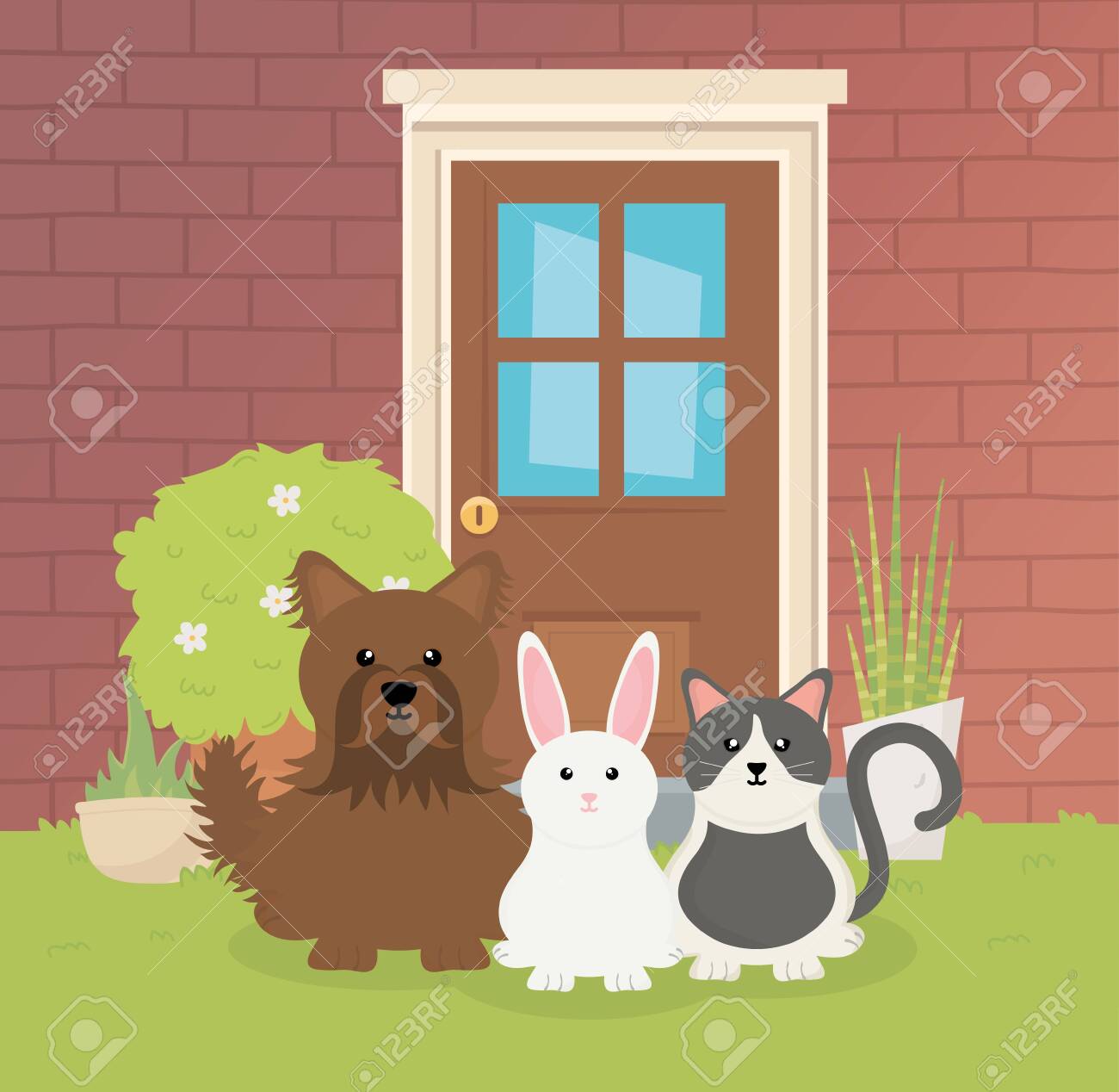 pet care house