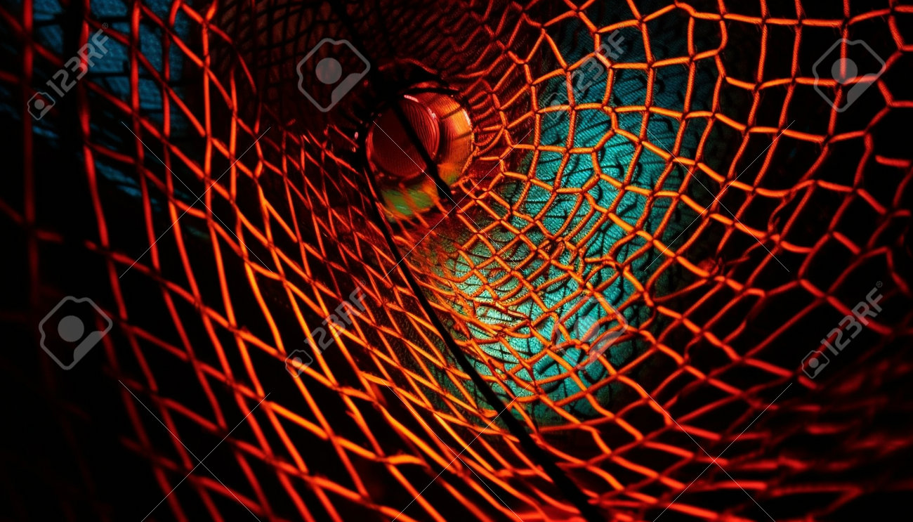 etiam-dictum-ipsum-a-felis