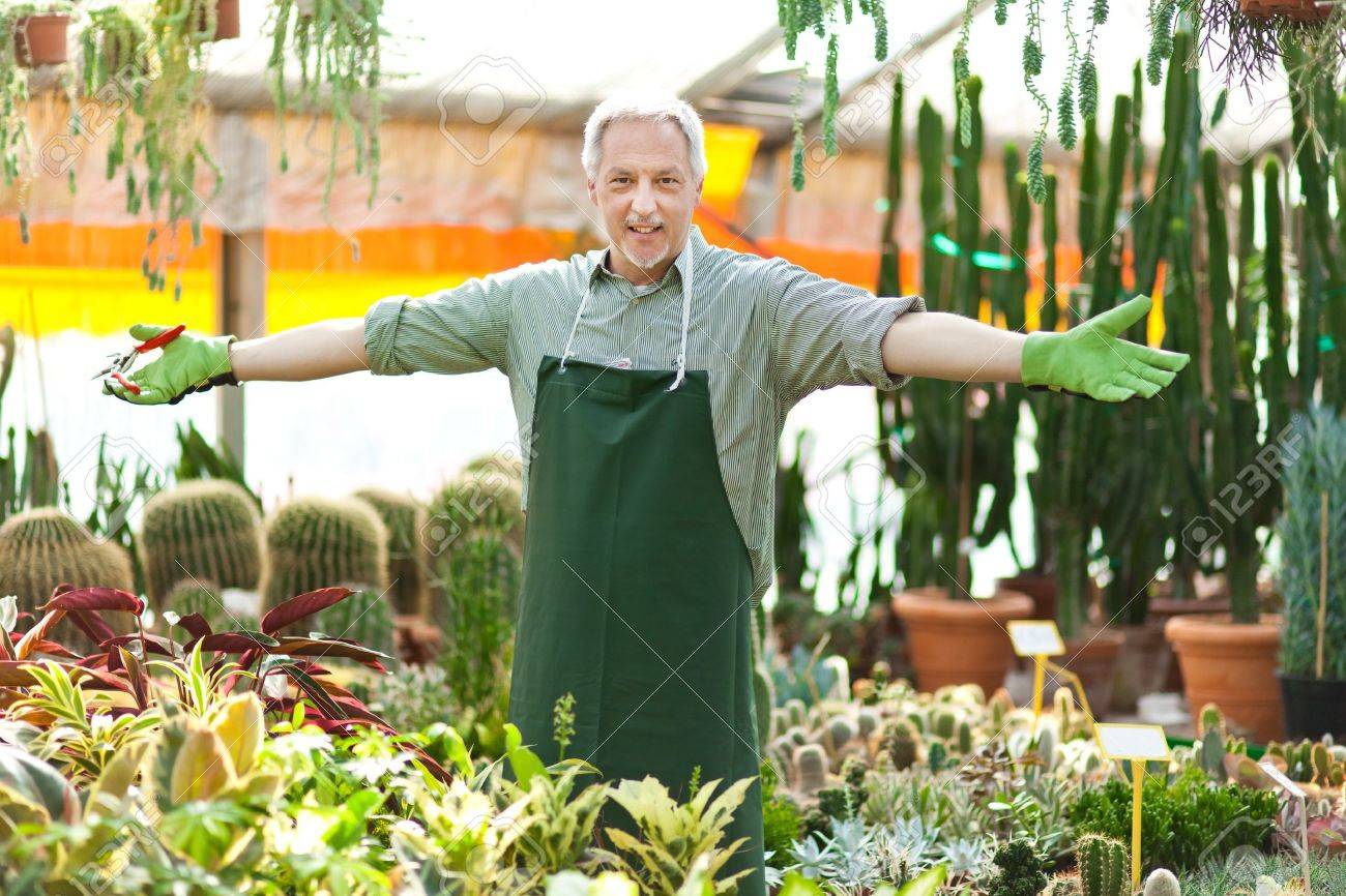 portrait of a smiling greenhouse worker stock photo picture and greenhouse worker