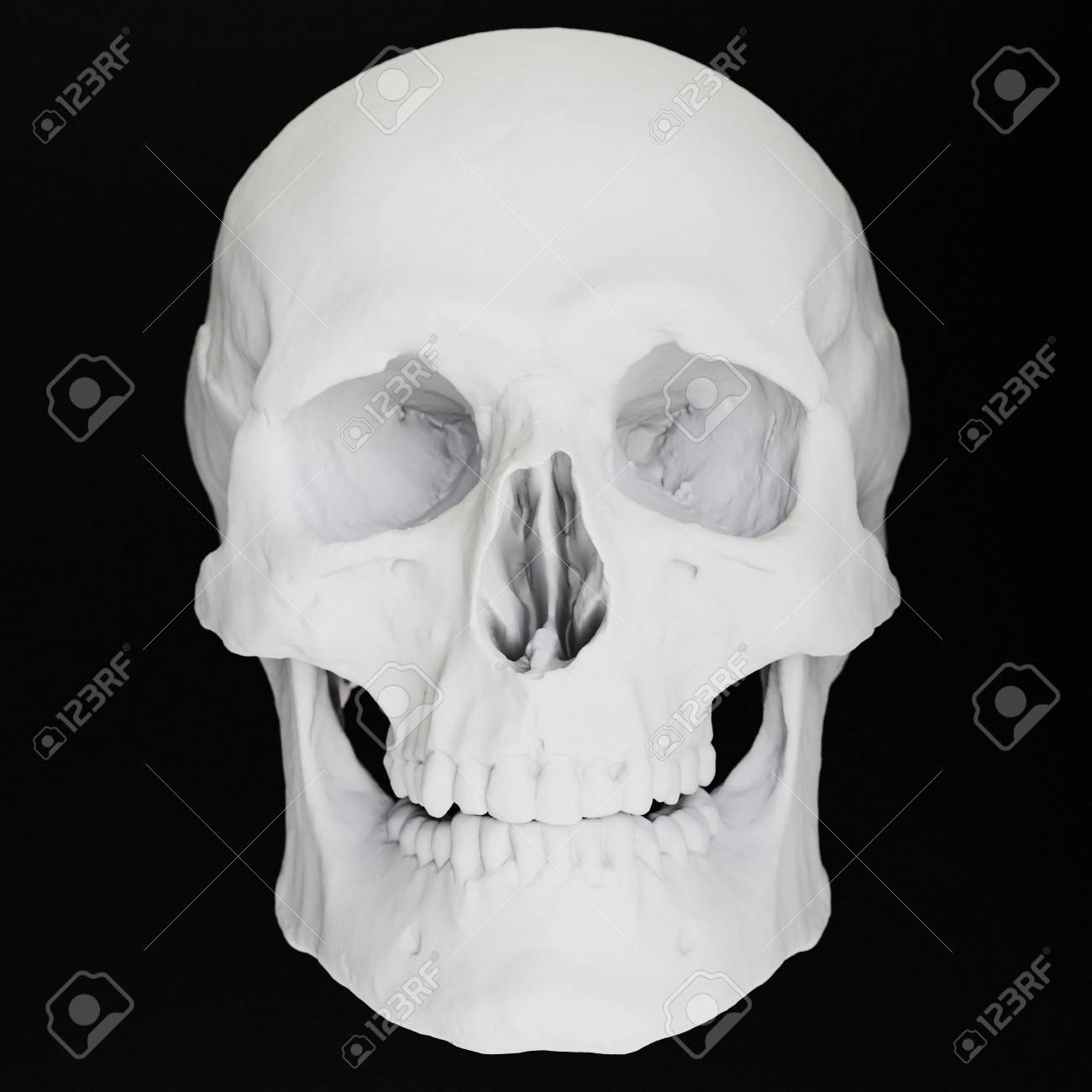 Immagini Stock Lato In Vista Di Un Teschio Bianco Dettagliato Su Uno Sfondo Nero Senza Soluzione Di Continuita Questa Immagine E Un Rendering 3d Image 89190229