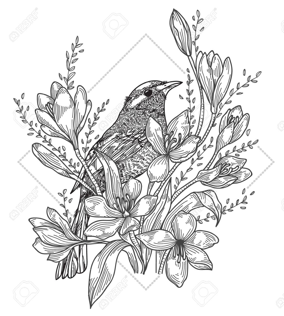 Tattoo Art Bird Hand Drawing And Sketch Black And White With Line Art Illustration Isolated On White Background Royalty Free Cliparts Vectors And Stock Illustration Image