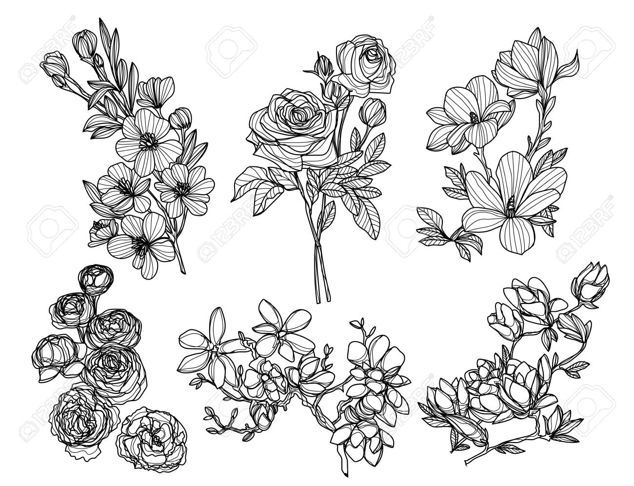 flowers hand drawing and sketch black and white - 137648377 flowers hand drawing and sketch black and white - 137648377