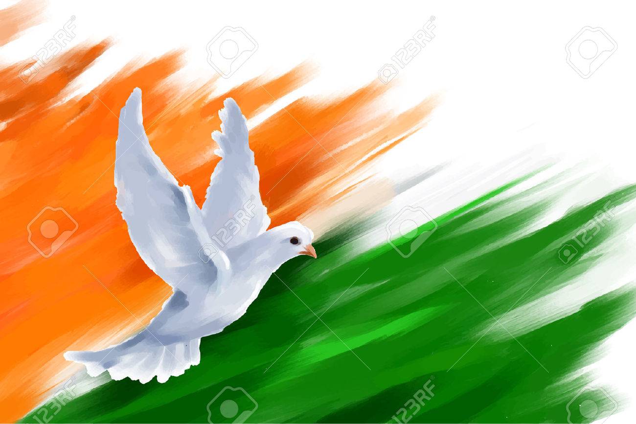 illustration of dove flying on Indian Flag for Indian Republic Day - 35236352 illustration of dove flying on Indian Flag for Indian Republic Day - 35236352