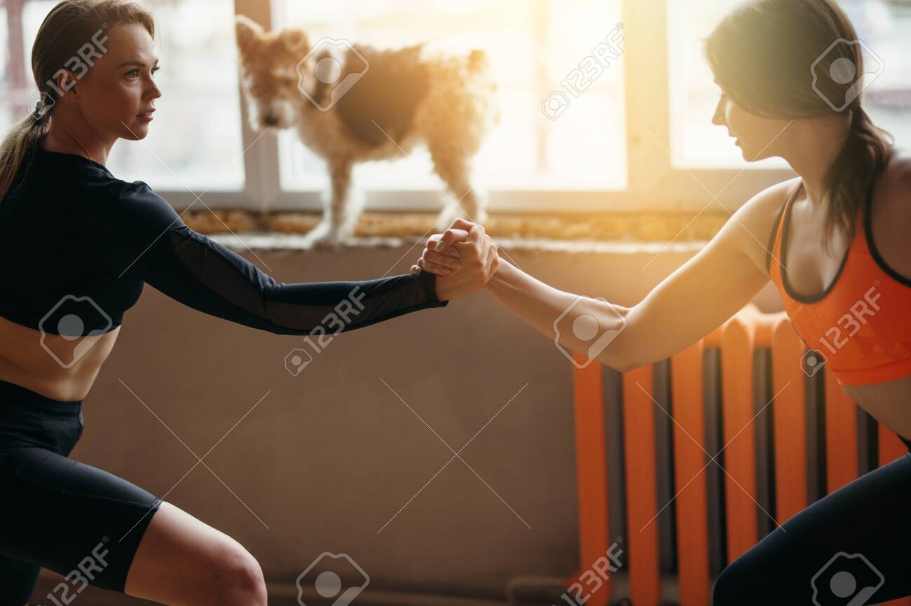 Dog Is Watching Sparring