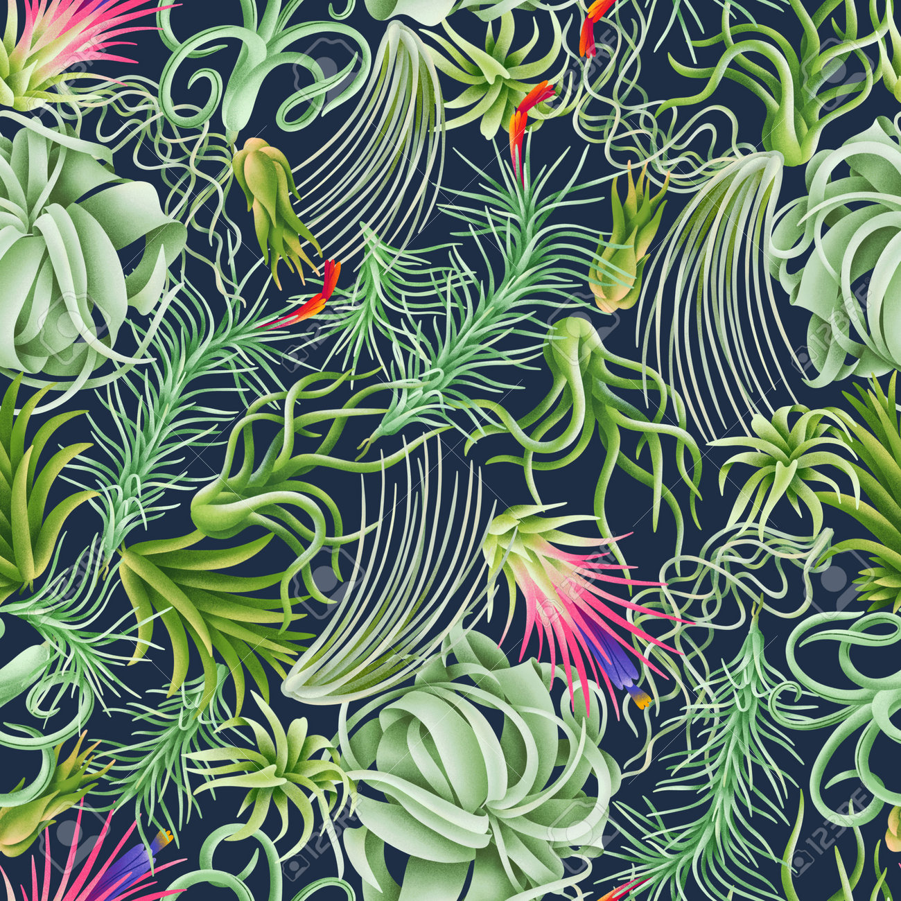 Tillandsia forest, exotic beautiful air plants seamless pattern illustration. Rich and modern background texture - 170268199 Tillandsia forest, exotic beautiful air plants seamless pattern illustration. Rich and modern background texture - 170268199