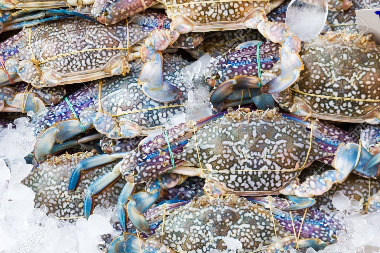 新鮮な生のワタリガニや花カニの新鮮な市場での販売 の写真素材 画像素材 Image
