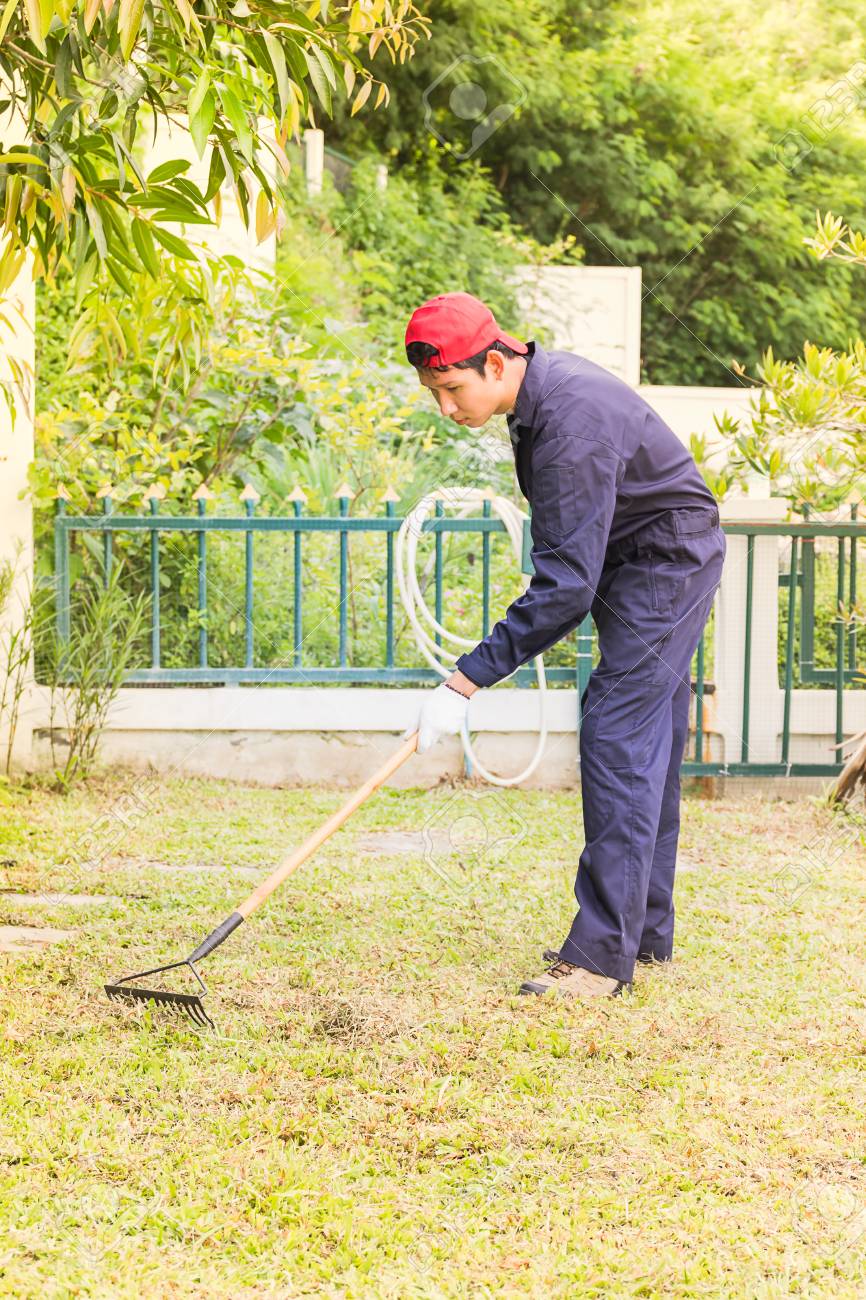 Junge Gartner Mit Gartenwerkzeugen Bei Der Arbeit Im Hausgarten
