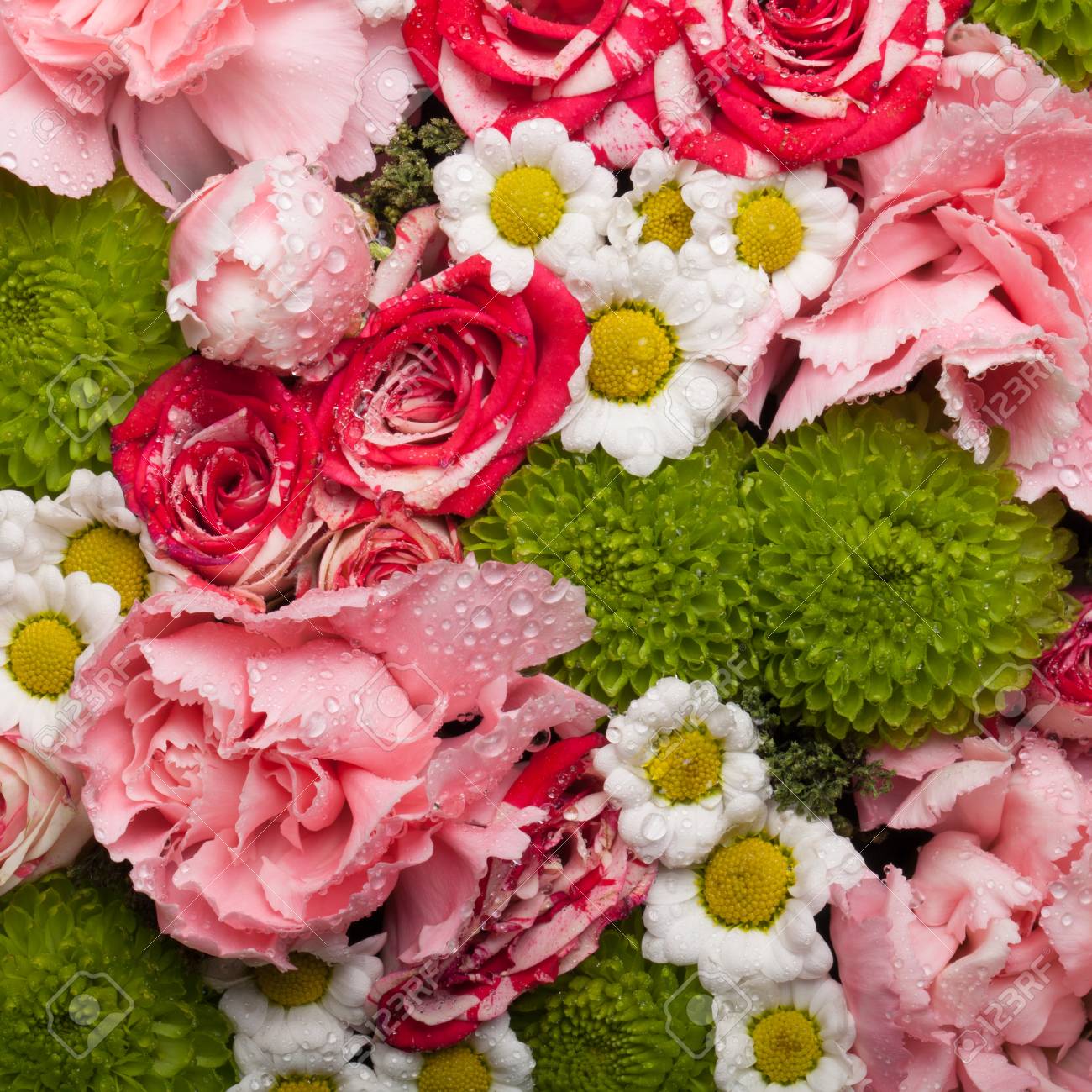 Encyclopédie Des Fleurs Composant Les Bouquets De Flower